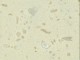 C-002